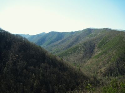 Sill Branch Overlook
...View of Sampson Mountain,
3-19-10
