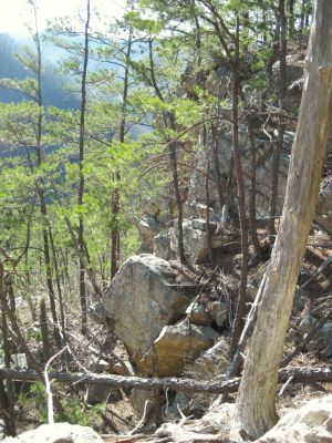 Sill Branch Overlook
part of the cliff wall,
3-19-10
