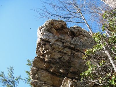 Sill Branch Overlook
Turkey Buzzard flying over the giant 'Bird Rock',
3-19-10
