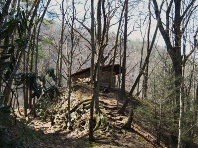 Laurel Fork Shelter
3-20-10
