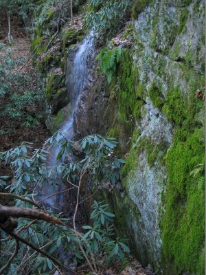 Upper Falls
Profile...

3-8-2017
