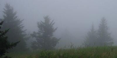 Cloudy View
At the old hotel site,
Roan High Knob Trail,
8-2011
