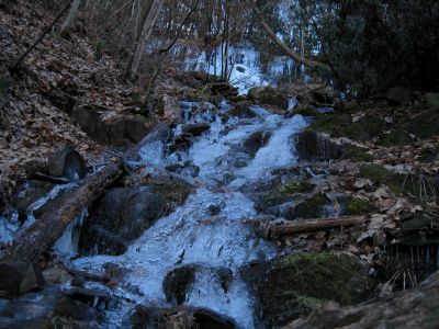 Cherokee National Forest
