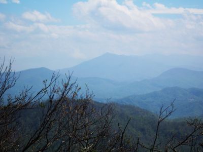 View From Beauty Spot
On Unaka Mountain,
May, 2010
