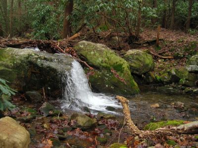 Cascades on Squibb Creek
Near the old Chalet...
12-3-2011

