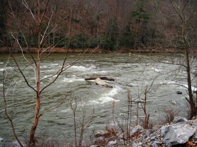 Trail To Devils Creek
Log balanced on boulder in the Nolichucky River,
December, 10, 2011
