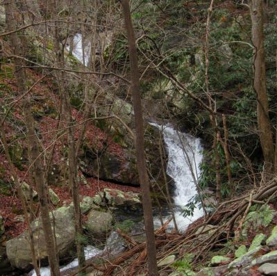 Devils Creek Falls
Lower Falls,
December, 10, 2011
