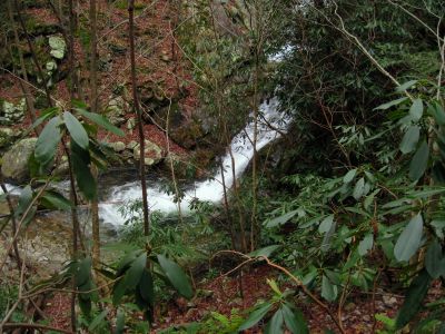 Devils Creek Falls
Lower Falls,
December, 10, 2011
