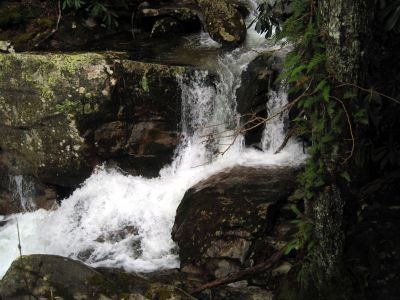Devils Creek Cascades
Cascade #6, just above the upper Falls,
December, 10, 2011
