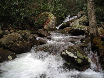 Devils Creek Cascades
Cascade #7,
December, 10, 2011
