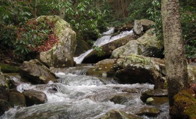 Devils Creek Cascades
Cascade #7,
December, 10, 2011
