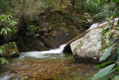 Devils Creek Cascades
Top part of Cascade #7,
December, 10, 2011
