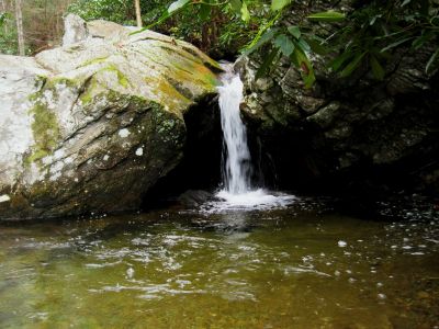 Devils Creek Cascades
Right side of Cascade #7,
December, 10, 2011
