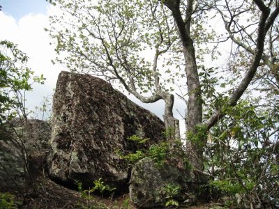 Top of High Rocks
on 'blue blaze' trail near Appalachian Trail in North Carolina.
May, 2010
