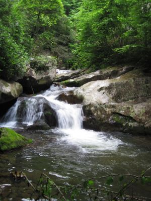Rocky Fork
Cascades...
June, 2010
