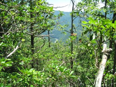 View from TN-NC State Line
Of the Nolichucky River Gorge,
June, 2010
