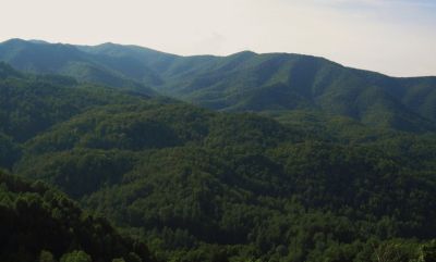Flint Mountain, Rocky Fork and Rich Mountain
July, 2010
