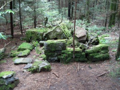 Remnants of Old Cabin
On Roan Mountain,
July, 2010
