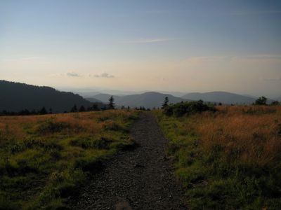 View from Round Bald
7-24-2017
