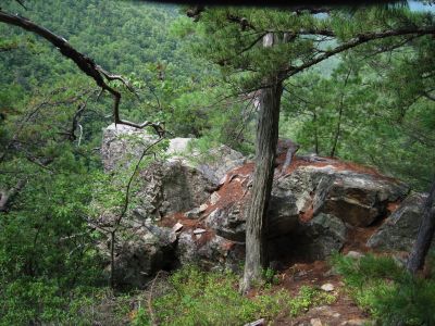 Jones Branch Overlook
August, 2010
