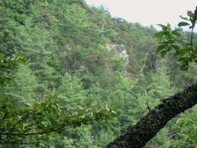 The Jones Branch Overlook
...as seen from the Appalachian Trail, closer up. 
August, 2010

