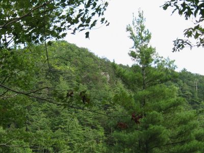 Jones Branch Overlook
...as seen from the Appalachian Trail (Johnson Rock Ridge) August, 2010
