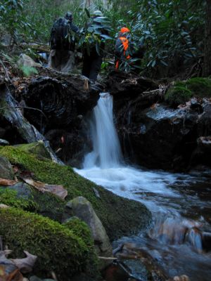 Expeditioners and Cascade
Expeditioners on the  'Phantom Trace' series of waterfalls on Unaka Mountain, 11-14-2015
