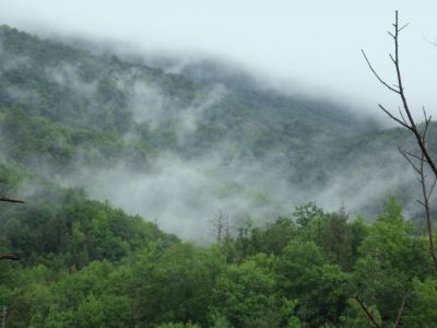View from No Business Knob
August, 2010
