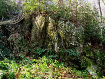 Rock Cliffs 
Along the 'Phantom Trace' hollow on Unaka Mountain, 11-14-2015
