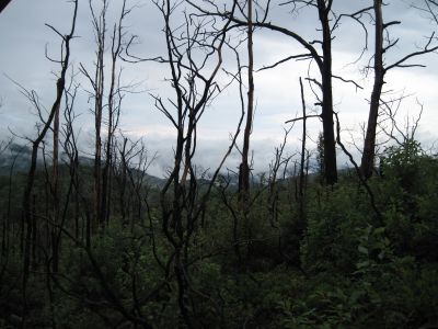 View from No Business Knob
August, 2010
