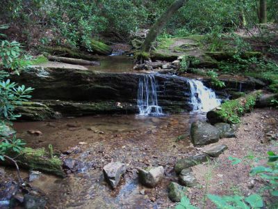Cascades on Clear Branch
Unaka Mountain,
August, 2010
