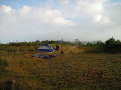 Bol'Dar Camp
Drying out tent and tarps...
Big Bald Meadows
Rat's Birthday Hike, 2013
Morning, Day 3
