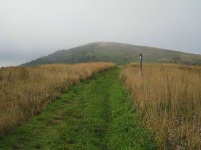 Big Bald
One last look back at Big Bald...
Rat's Birthday Hike, 2013
Morning, Day 3
