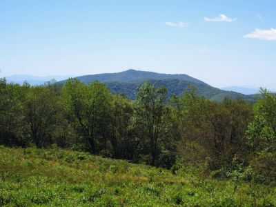 View from the Meadow on Coldspring Mountain
Camp Creek Bald in the distance.
September, 2010
