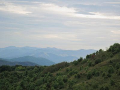 View From Max Patch
on the Appalachian Trail, 
September, 2010 
