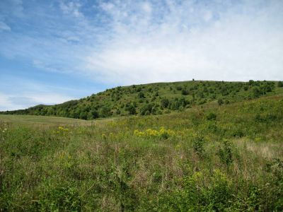 Max Patch
September, 2010 
