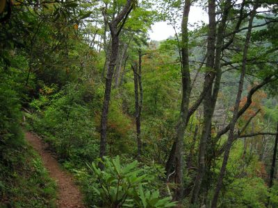 Trail Over No Business Knob
Rat's Birthday Hike, 2013
Day 5
