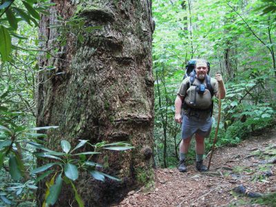 Rat Patrol
And Humongous Tree/Ent
...on his Birthday Hike.
 Appalachian Trail, 
September, 2010

