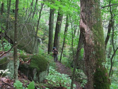 Ascending Bluff Mountain
Rat Patrol on his Birthday Hike
 ...on the Appalachian Trail, 
September, 2010

