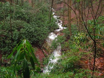 Cascades on Rock Creek
Rock Creek on Unaka Mountain, 
12-25-1015
