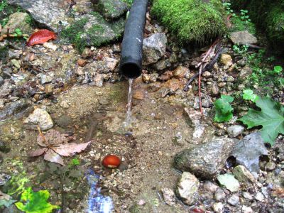 Big Rock Spring
On Bluff Mountain,
September, 2010
