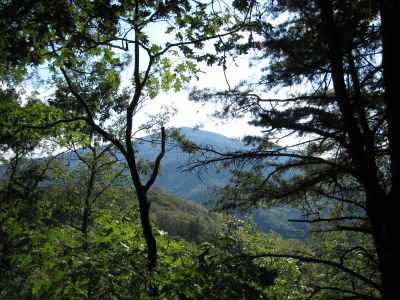 Bluff Mountain
View from Lamb Knob...
September, 2010

