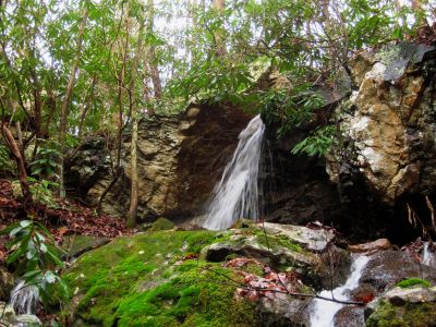 Tributary Falls
'Feeder Falls' on Simmons Branch.
Rich Mountain, 
12-26-2015
