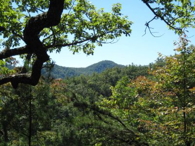Lamb Knob
As seen from Deer Park Mountain,
September, 2010
