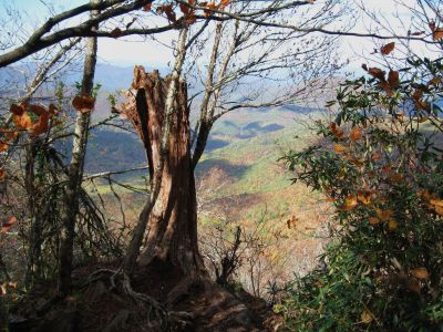 Little Bald Bluff
(I can remember when that tree on the edge of the cliff was still alive)
Little Bald Mountain
October, 2010
