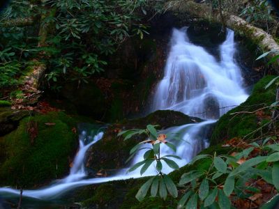 Top Part of 100' Cascade
Part of the 'Phantom Trace' series of waterfalls on Unaka Mountain, 11-14-2015
