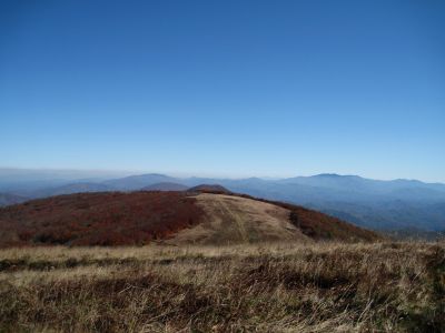 View From Big Bald
Looking Northest--Little Bald, Flattop, Temple Ridge, Unaka, and Roan Mountains are all visible in photo.

October, 2010
