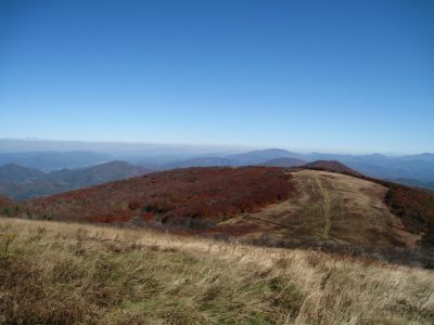 View From Big Bald
Big Bald Mountain
October, 2010
