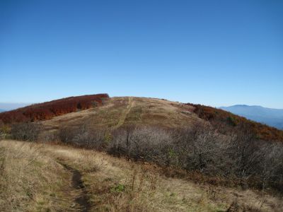 Descending Big Bald
Looking over at 'Big Stamp',
Big Bald Mountain
October, 2010
