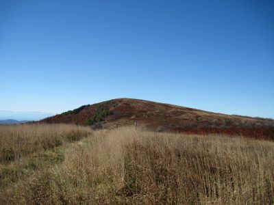 View From Big Stamp
Summit of Big Bald just ahead,
Big Bald Mountain
October, 2010
